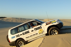 Tag-Along Showed Me How