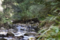 Barrington Tops