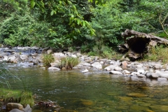 Barrington Tops