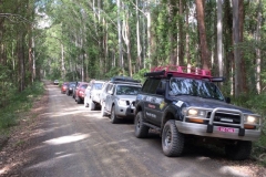 Barrington Tops Tag-Along 4wd Tour