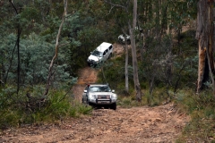 The Blue Mountains Tag-Along Tour