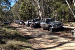 Tagging-Along in the Blue Mountains