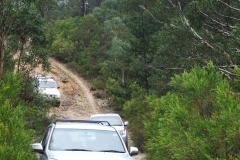 Tagging Along Mountain tracks