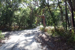 Tomaree National Park