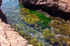 Rockpools at Tomoree National Park