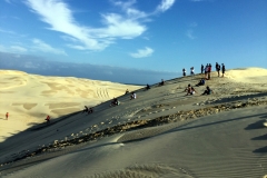 The view from the dunes