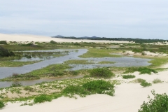 Surprising Places in the dunes