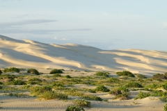 Natural Beauty of sand