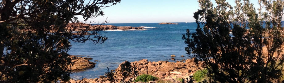 bush beach and dunes 4wd tours